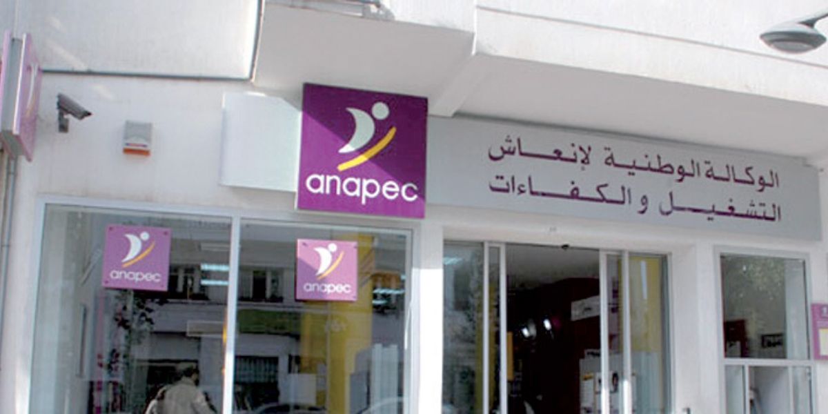 Anapec recrute plusieurs profils